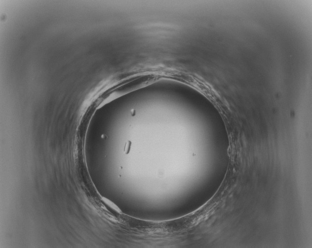 X0000064770344200602171830