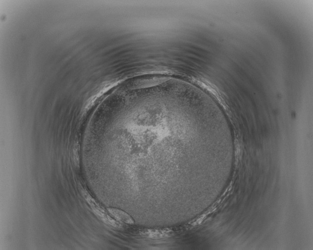 X0000064770345200602171830