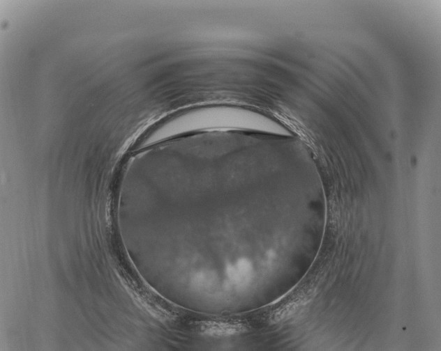 X0000064770347200602171830