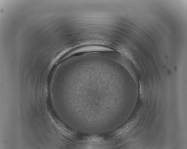 X0000064770348200602171830