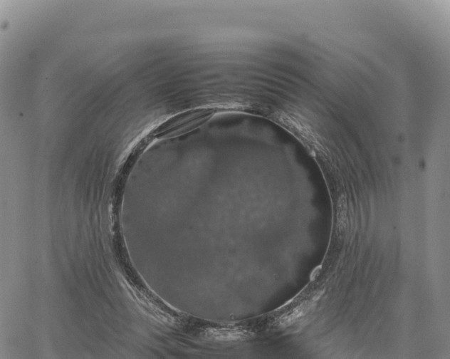 X0000064770351200602171830