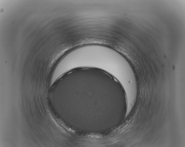 X0000064770352200602171830