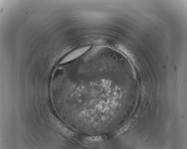 X0000064770353200602171830