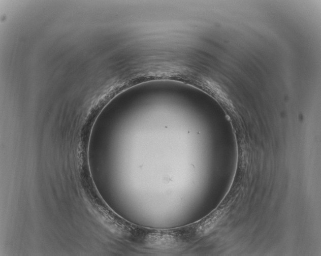 X0000064770354200602171830