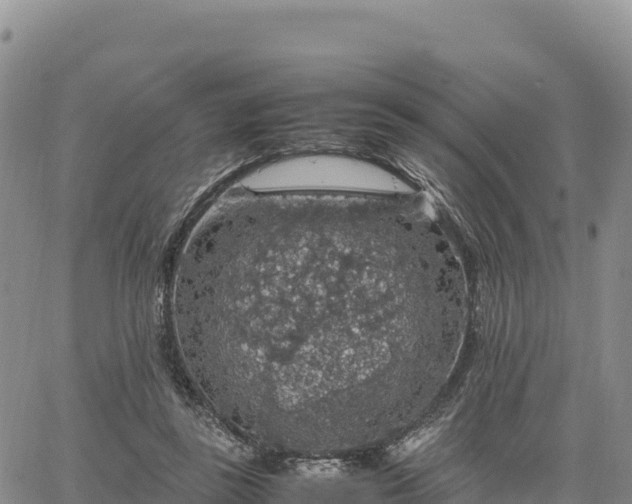 X0000064770355200602171830