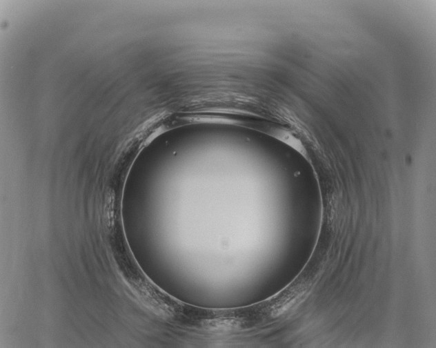 X0000064770356200602171830