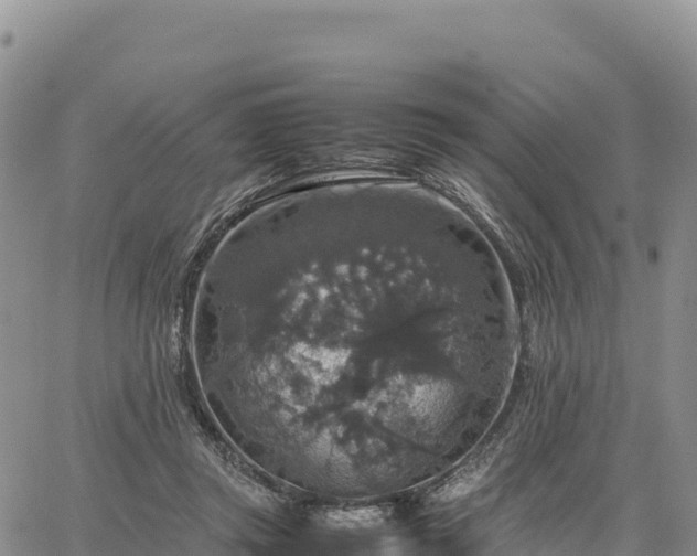 X0000064770357200602171830