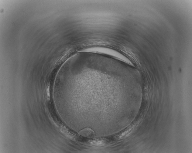 X0000064770358200602171830