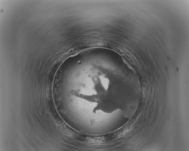 X0000064770359200602171830