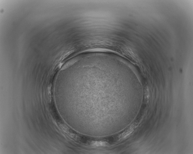 X0000064770360200602171830