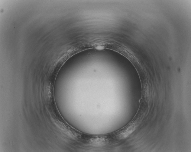 X0000064770362200602171830