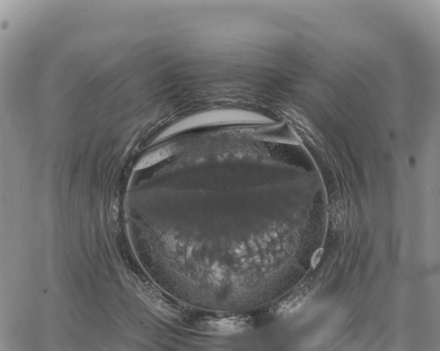 X0000064770365200602171830