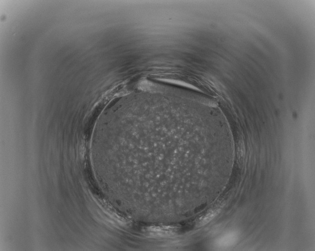 X0000064770367200602171830