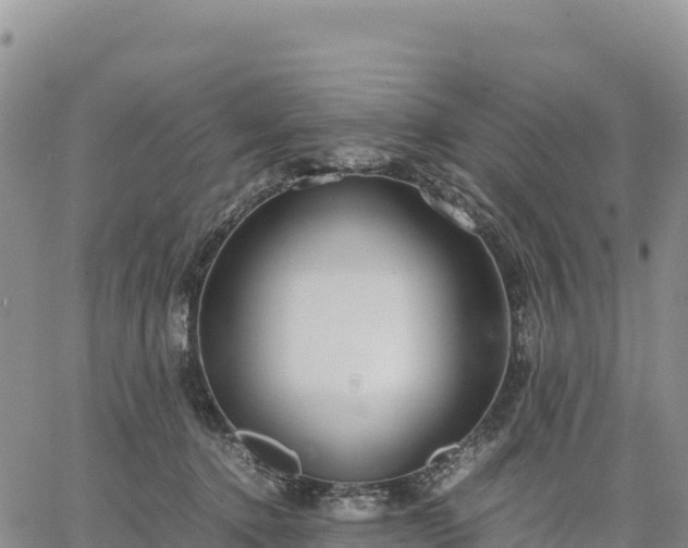 X0000064770368200602171831