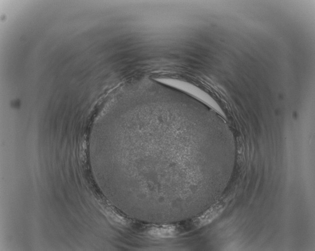 X0000064770369200602171831