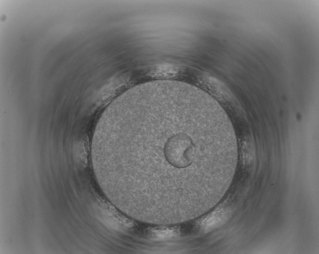 X0000064770370200602171831