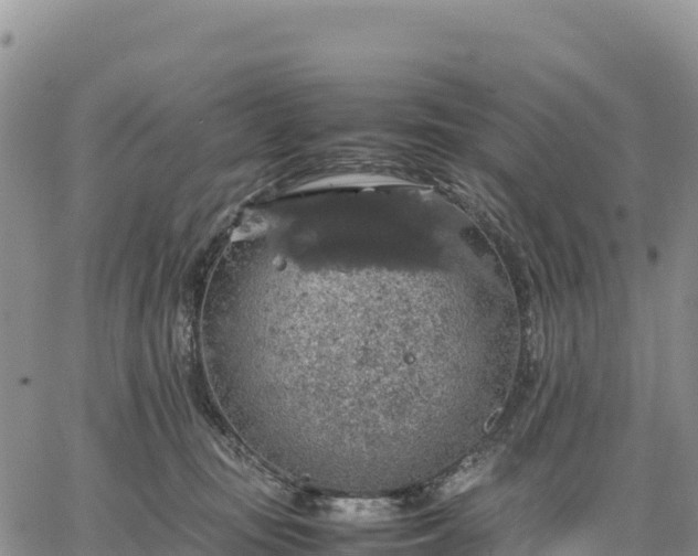 X0000064770371200602171831