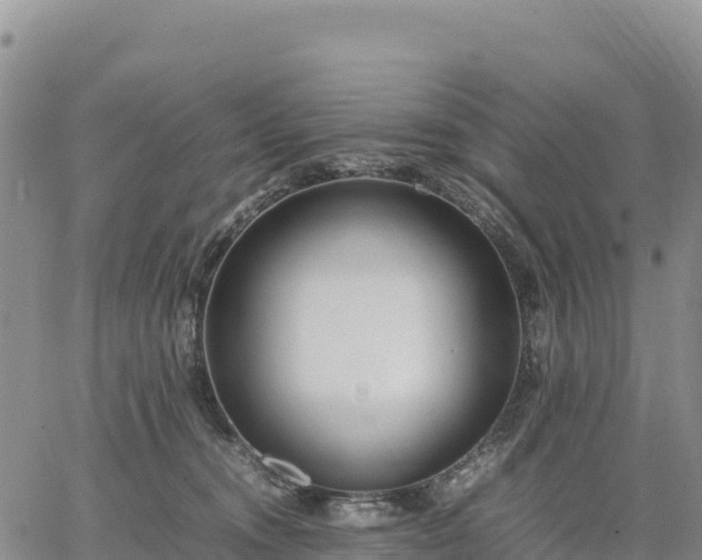 X0000064770372200602171831