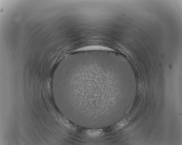 X0000064770373200602171831