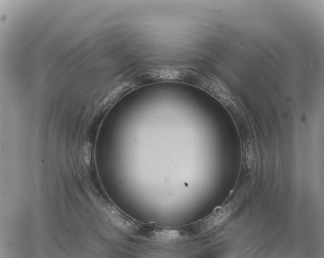 X0000064770374200602171831