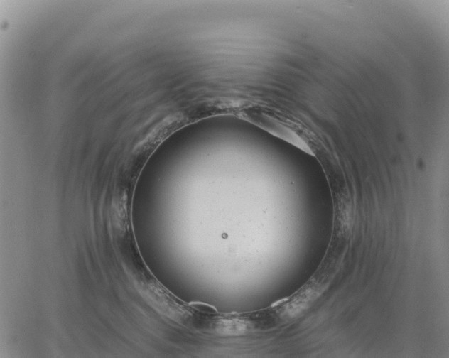 X0000064770376200602171831