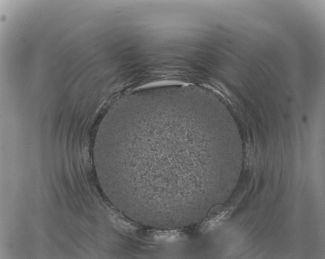 X0000064770377200602171831