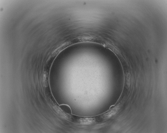 X0000064770378200602171831