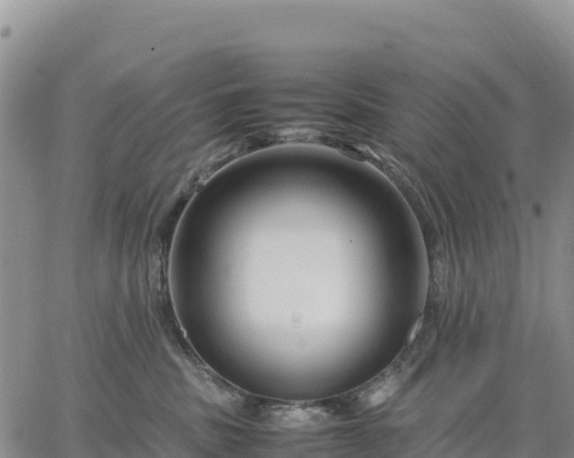 X0000064770379200602171831