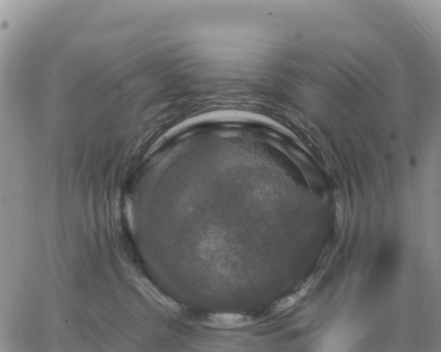 X0000064770380200602171831