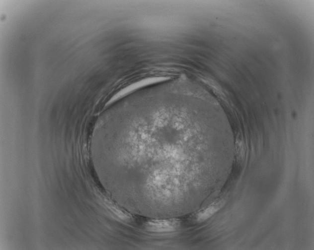 X0000064770381200602171831