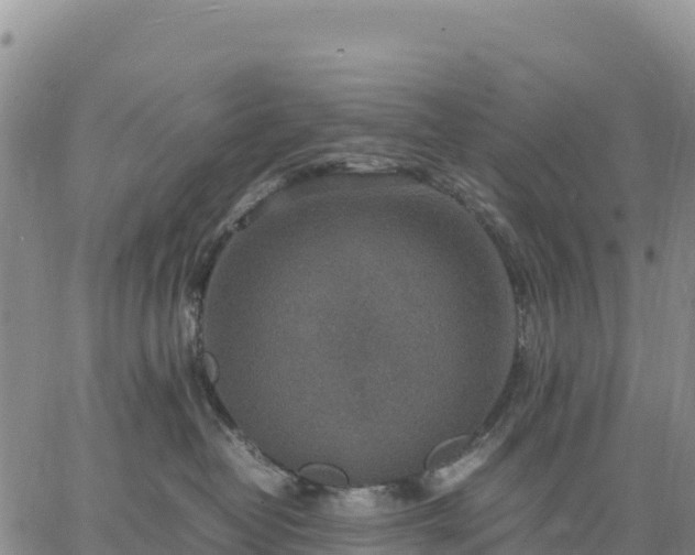 X0000064770382200602171831