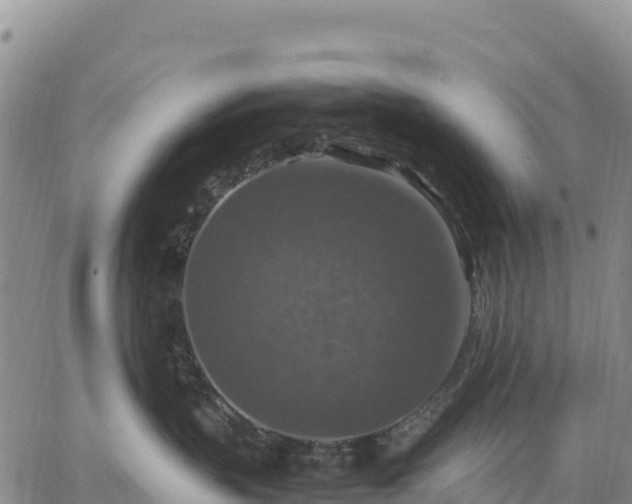 X0000064770383200602171831