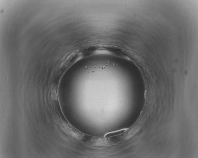 X0000064770384200602171831