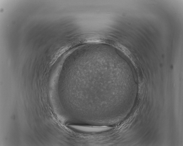 X0000064770385200602171830