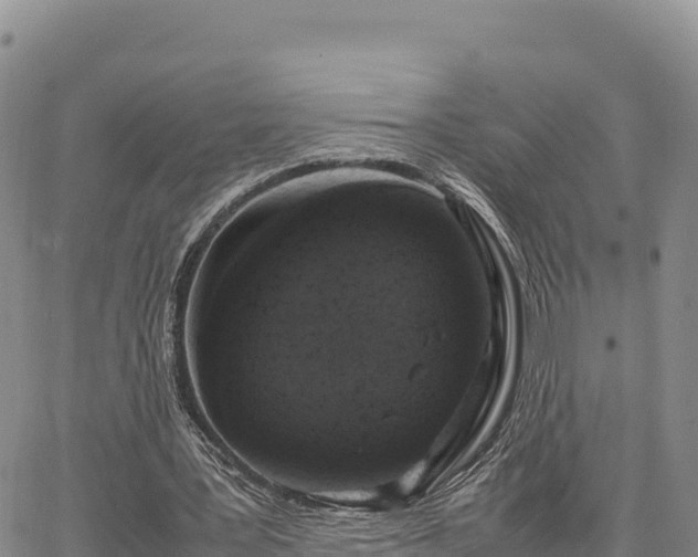 X0000064770387200602171830