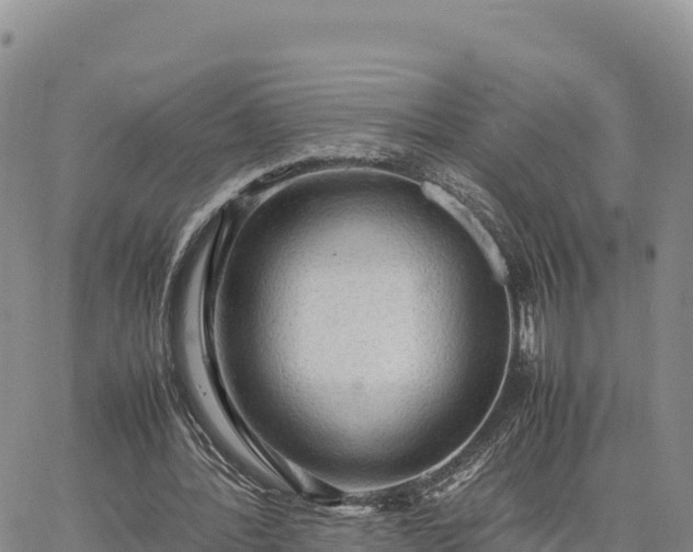 X0000064770388200602171830