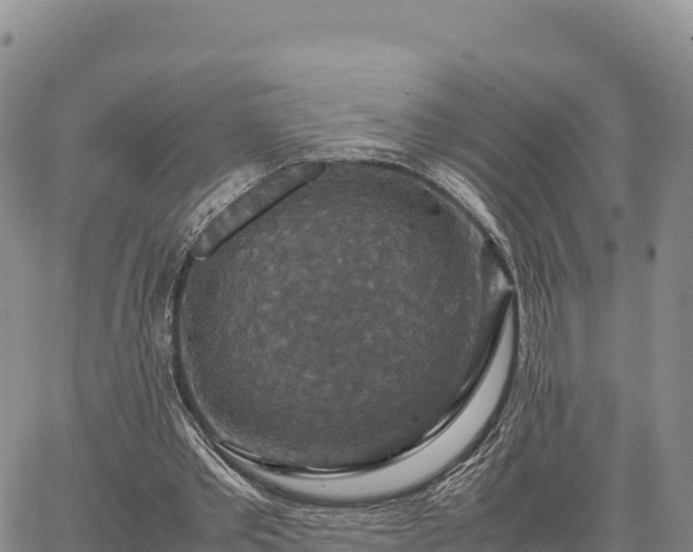 X0000064770389200602171830