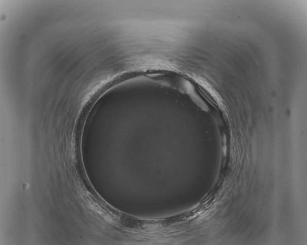 X0000064770391200602171830