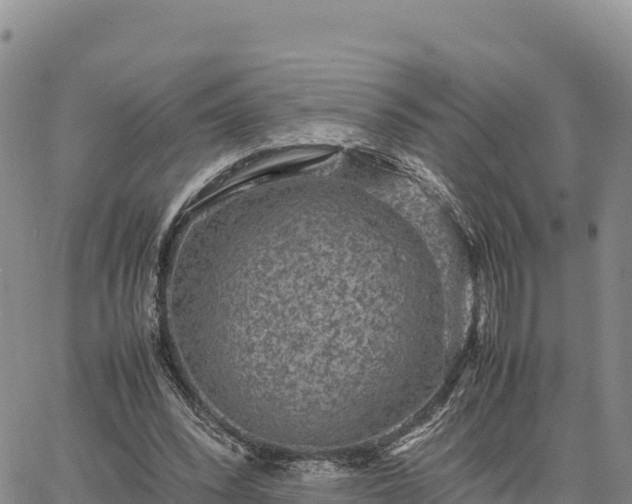 X0000064770392200602171830