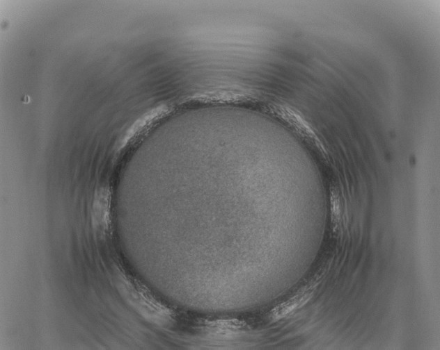 X0000064770396200602171830