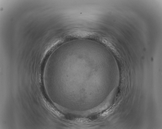 X0000064770399200602171830