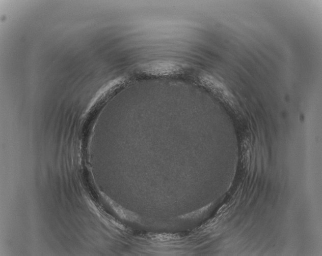 X0000064770400200602171830