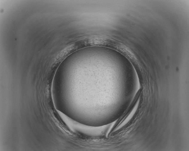 X0000064770401200602171830