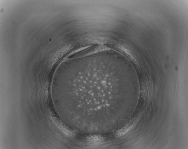 X0000064770402200602171830