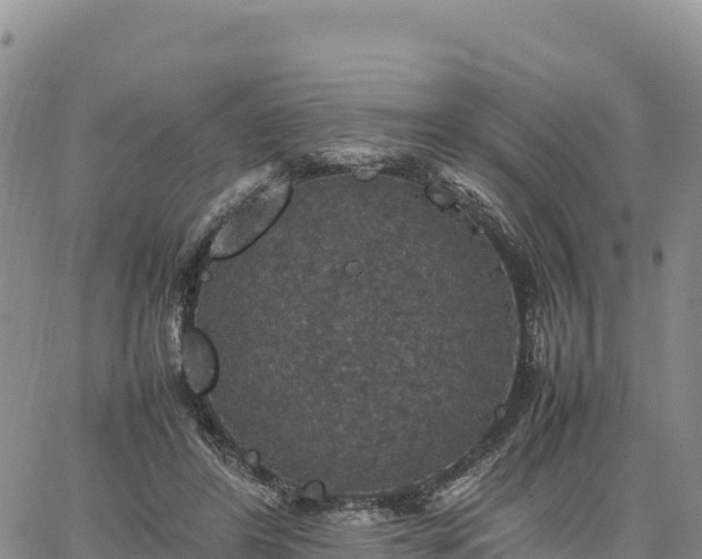 X0000064770404200602171830