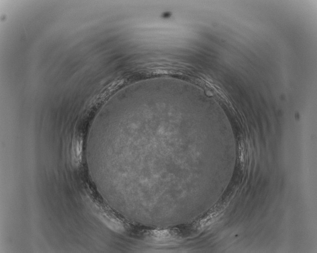 X0000064770406200602171830