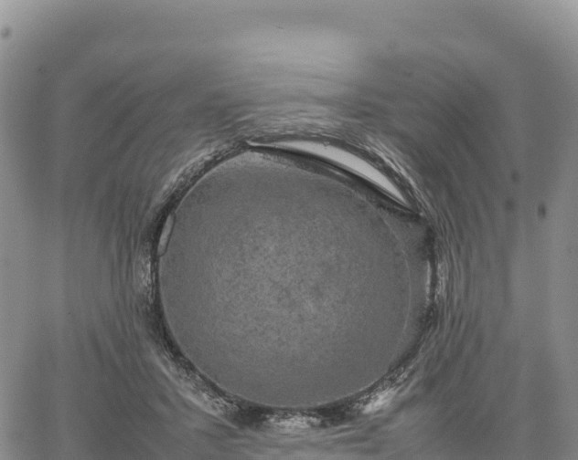 X0000064770407200602171830