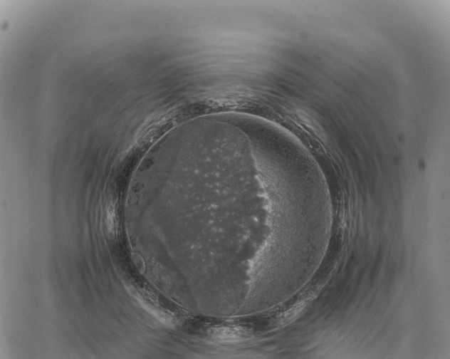 X0000064770408200602171830