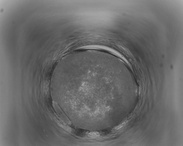 X0000064770409200602171830