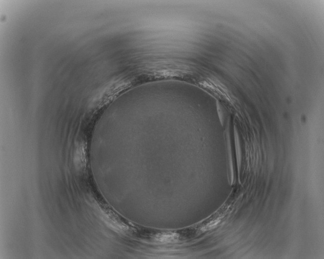 X0000064770410200602171830